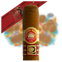 H. Upmann La Casa del Habano 乌普曼 哈瓦那之家特供版雪茄