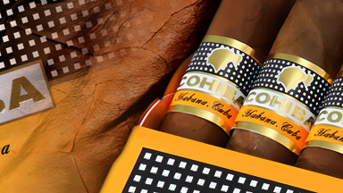 cohiba shorts